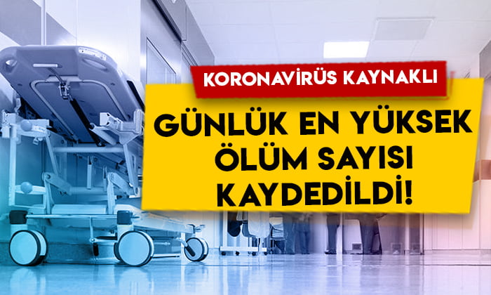 Türkiye'de Koronavirüs nedeniyle 254