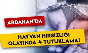 Ardahan’da hayvan hırsızlığı operasyonunda 4 kişi tutuklandı