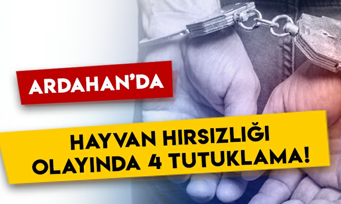 Ardahan'da 6 büyükbaş hayvan