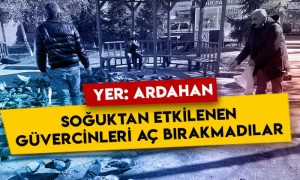 Yer Ardahan: Soğuktan etkilenen güvercinleri aç bırakmadılar