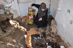 Muşlu kadın evinin bir bölümünü sokak kedilerine ayırdı