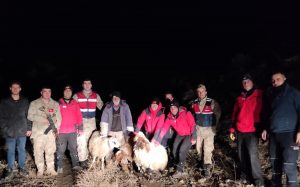 Erzincan’da koyunlarıyla kayalıklarda mahsur kalan baba ve oğlu kurtarıldı