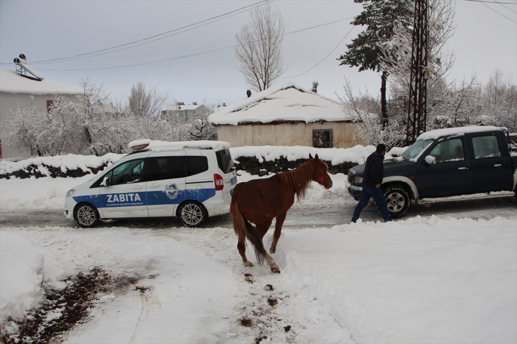 Karlıova’da ayağı kırık ata belediye sahip çıktı