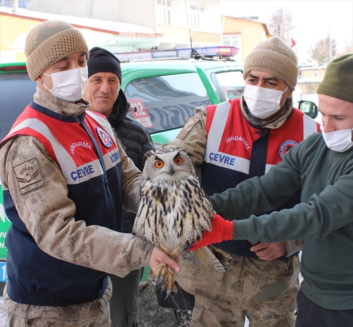 Ardahan’da jandarmanın yaralı halde bulduğu Puhu kuşu tedaviye alındı