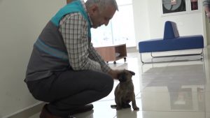 Malatya’da donmak üzere bulunan yavru köpeğe belediye personeli sahip çıktı