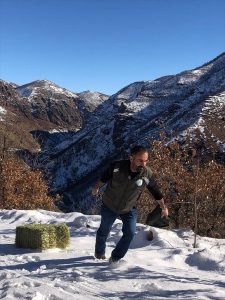 Tunceli’de yaban hayvanları için karla kaplı dağlara yem bırakıldı