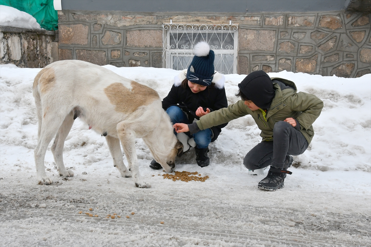 Kars’ta sokakları dolaşan çocuklar “can dostlar”ı besledi