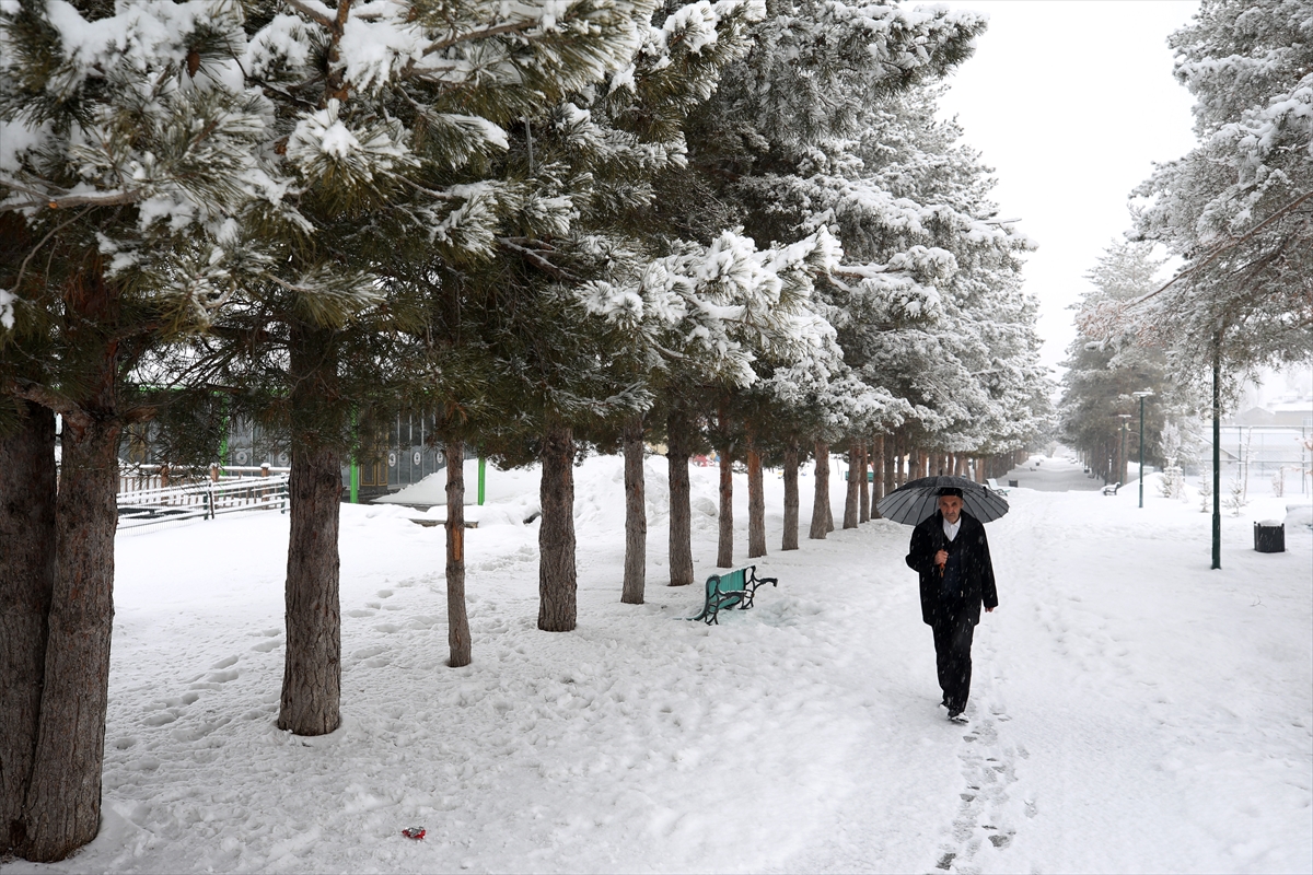 Van, Hakkari, Bitlis ve Muş’ta 385 yerleşimin yolu kardan kapandı