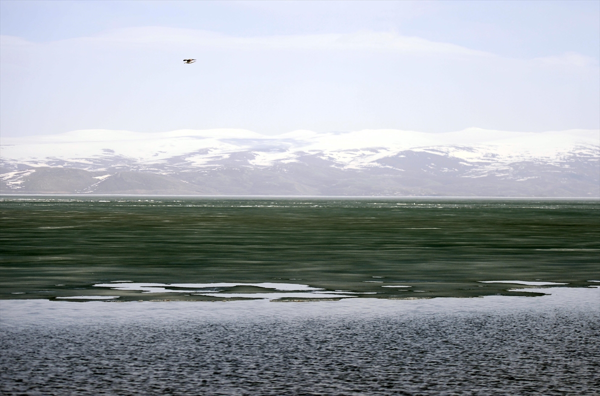 Çıldır Gölü’nü kaplayan buz tabakası erimeye başladı