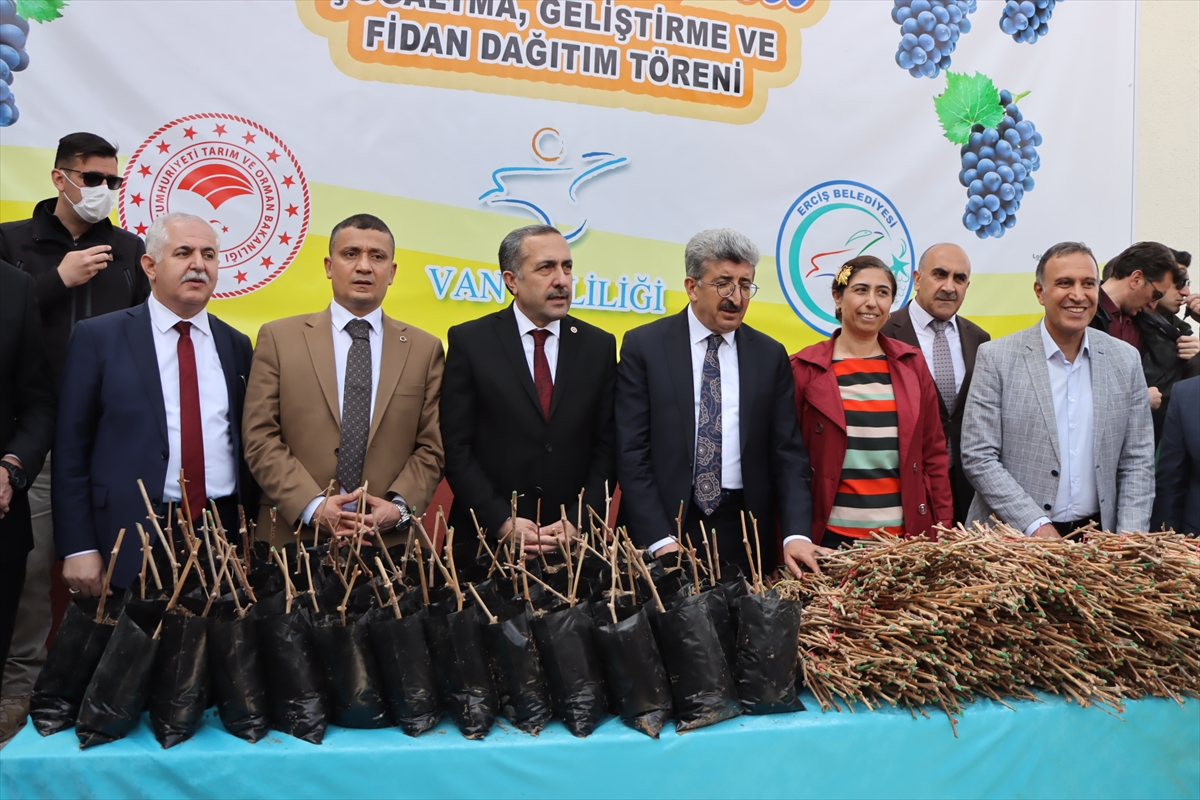 Erciş’te çiftçilere ücretsiz üzüm fidesi dağıtıldı
