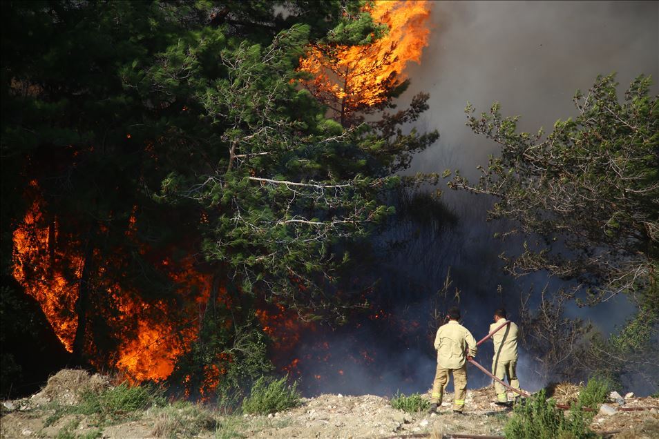 Türkiye ile Azerbaycan orman yangınlarıyla birlikte mücadele edecek