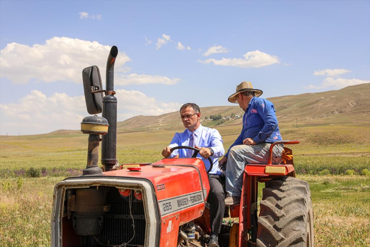 Van Valisi Ozan Balcı arazide traktörle ot biçti