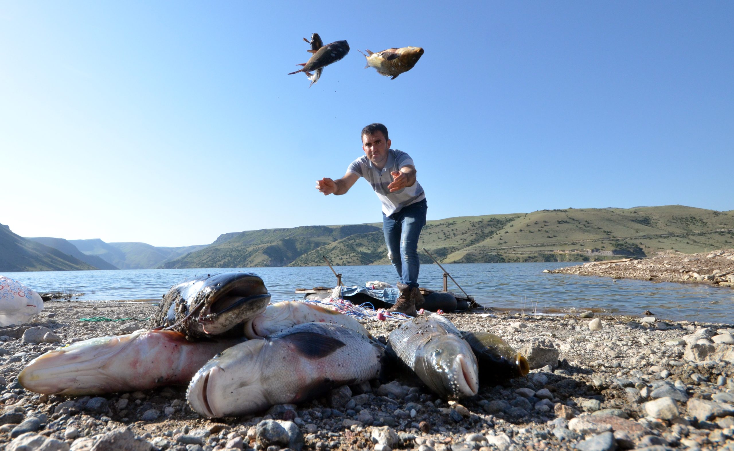 Kars’ta Karakurt Baraj Gölü’nde balık bereketi