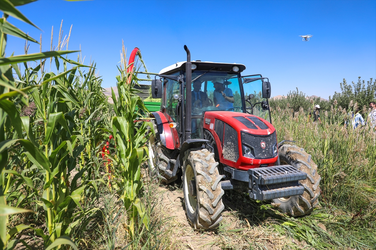 Van’da devlet desteğiyle yetiştirilen silajlık mısırın hasadına başlandı