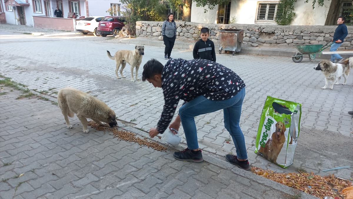 Kars’ta “Dünya Hayvanları Koruma Günü” dolayısıyla sokak hayvanlarına mama dağıtıldı