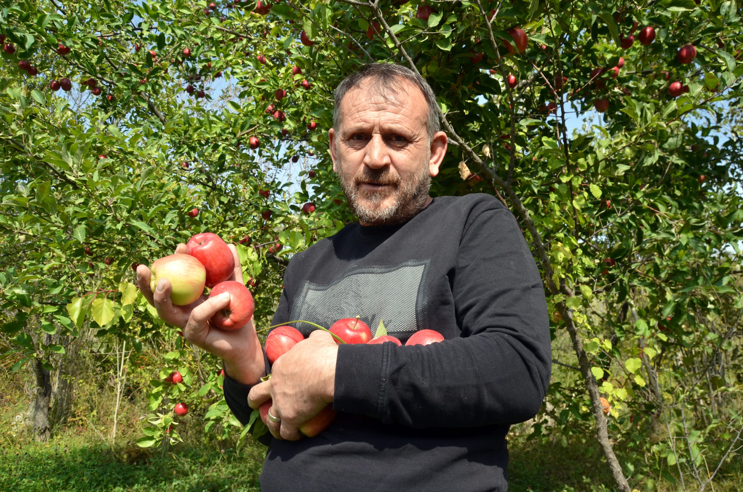 Yılda yaklaşık 1200 ton meyve üreten Karslı köylüler pazar sorunu yaşıyor