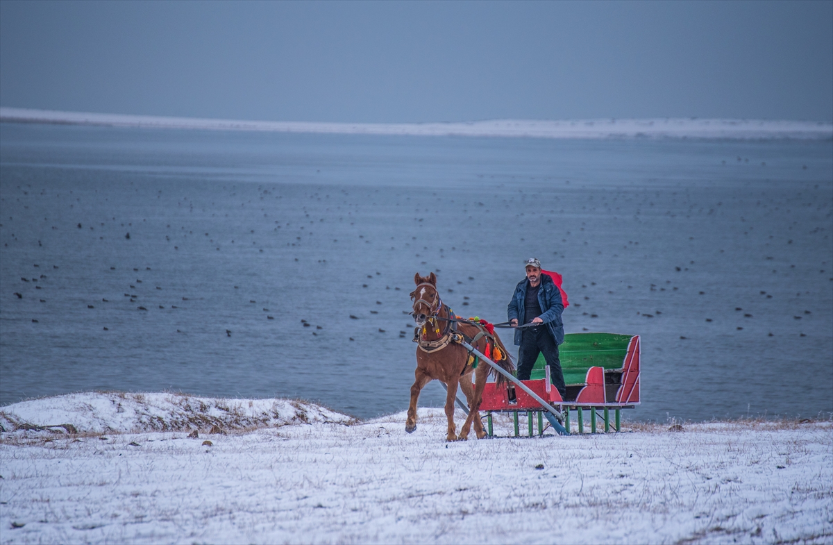 Çıldır Gölü’nün donmasını bekleyen atlı kızakçılar, karlı arazilere çıktı