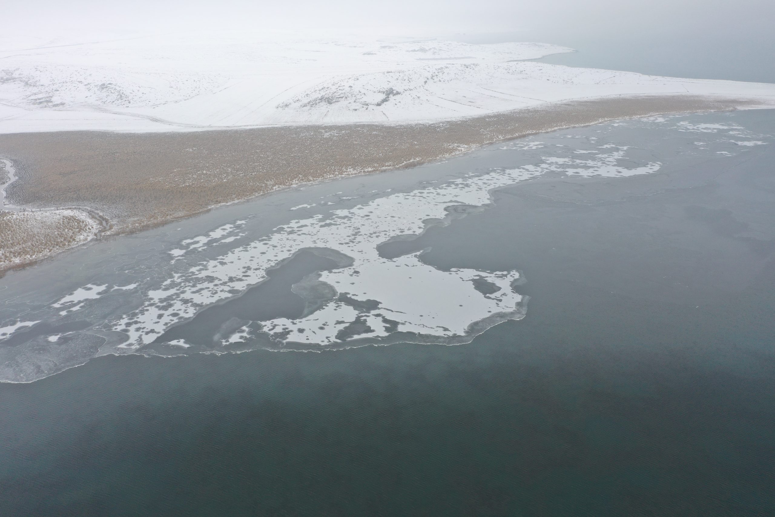 Çıldır Gölü’nün yüzeyi soğuk hava nedeniyle donmaya başladı