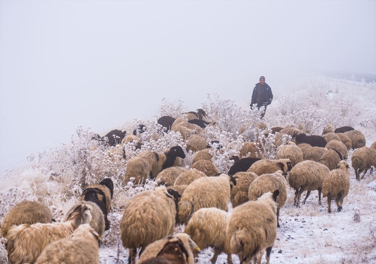 Kars’ta göçerlerin yayladan kar ve sis arasında zorlu dönüş yolculuğu başladı
