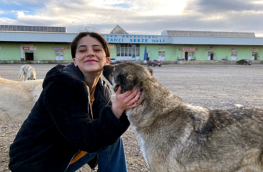 Kars’ta üniversite öğrencileri sahipsiz köpekleri besledi