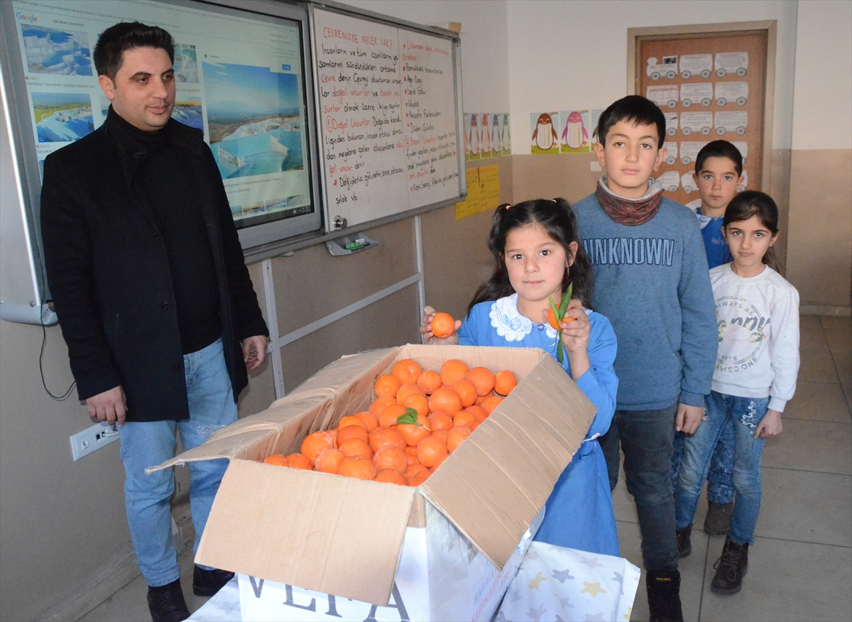 Aydın’da öğrenciler, okul bahçesinde yetiştirdikleri meyveleri Sarıkamışlı çocuklara gönderdi