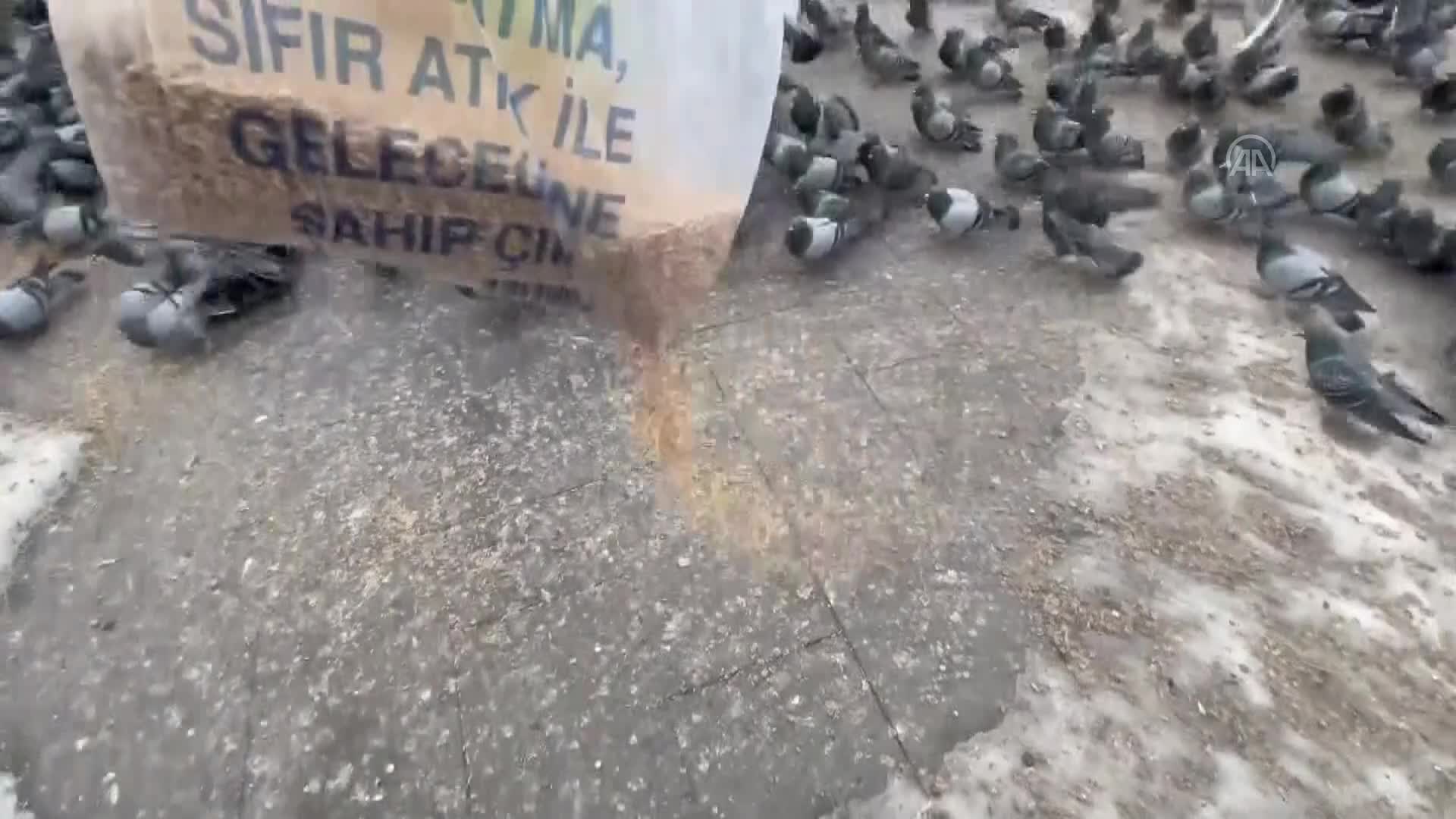 Soğuk hava ve karın etkili olduğu Ardahan’da vatandaşlar güvercinleri besledi