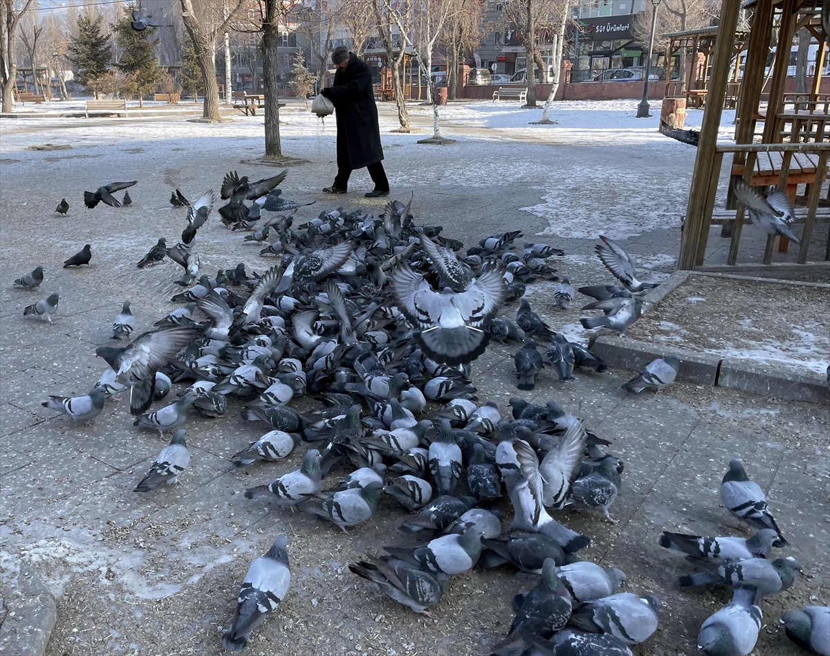 Termometrelerin sıfırın altında 25’i gösterdiği Ardahan’da esnaf güvercinleri besledi