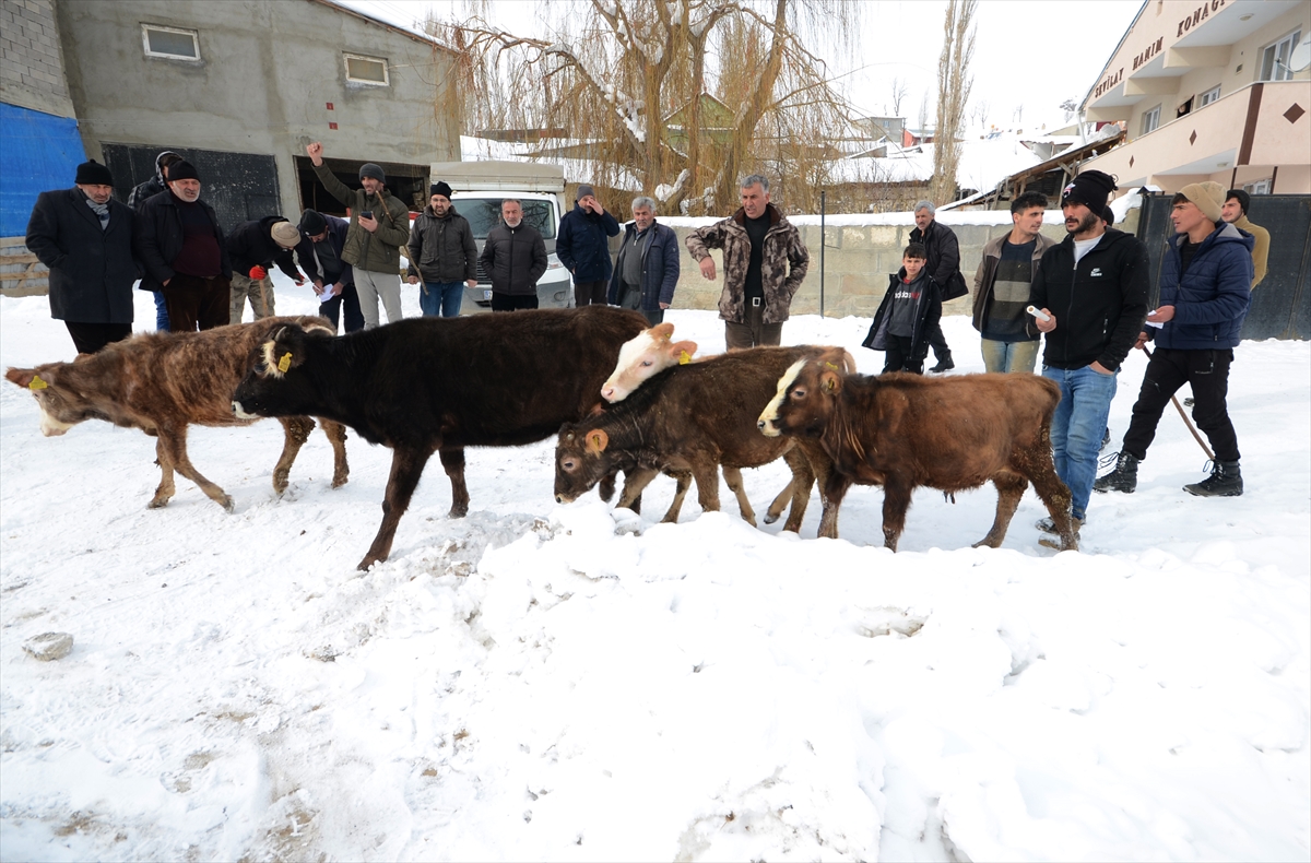 Kars’ta çiftçiler hayvanlarını satıp gelirini depremzedelere bağışladı