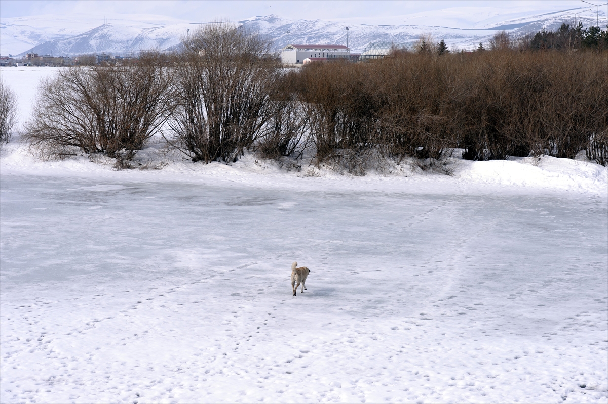Erzurum ve Ardahan’da kuvvetli fırtına ile kar yağışı etkili oluyor