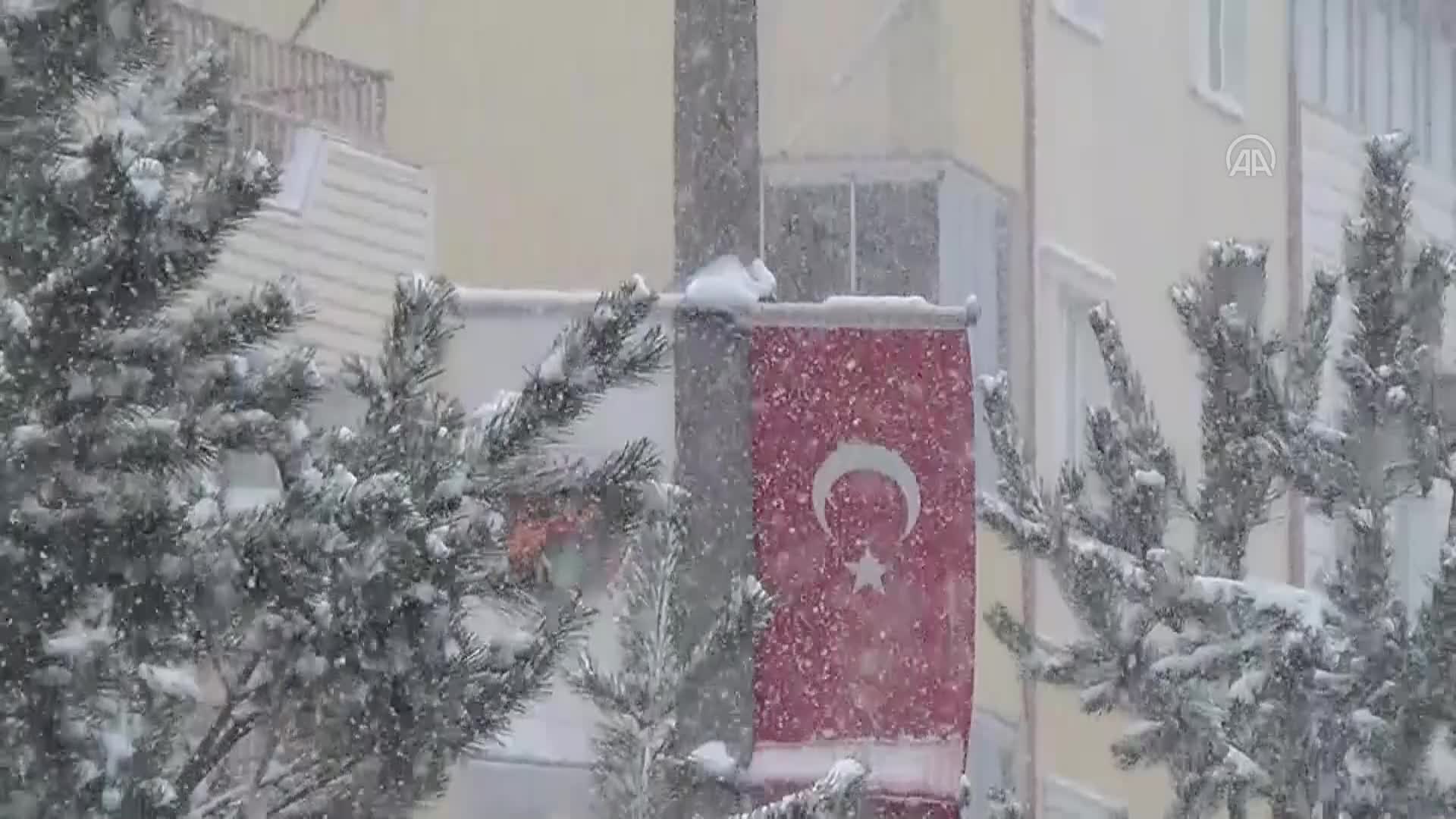 Van, Bitlis, Hakkari ve Muş’ta kar etkili oldu