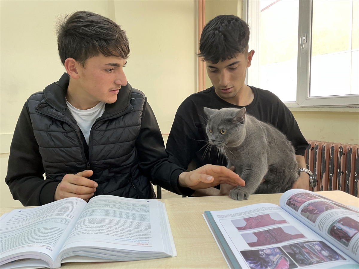 Matematik öğretmeninin kedisi “Başkan”ı lise öğrencileri çok sevdi