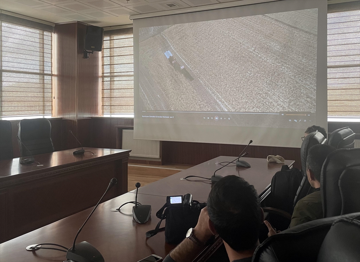 Ardahan’da ata tohumu kavılca buğdayının filmi yapıldı