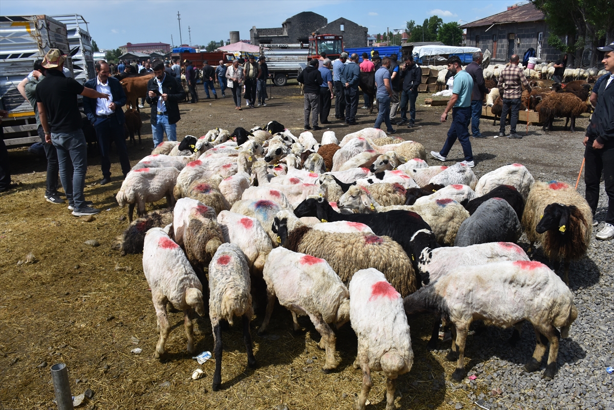 Doğu Anadolu’daki hayvan pazarlarında arife yoğunluğu yaşanıyor