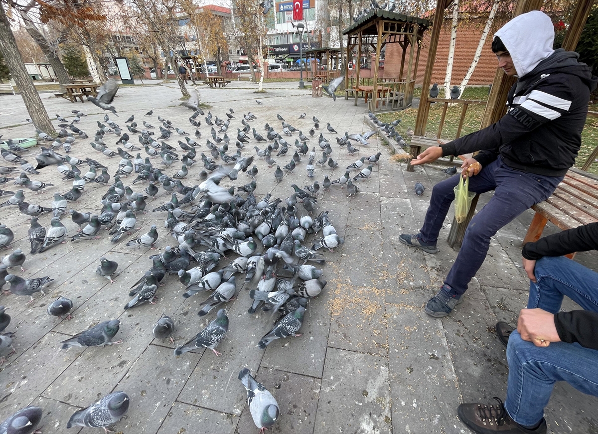 Hava sıcaklığının sıfırın altına düştüğü Ardahan’da vatandaşlar güvercinleri besledi