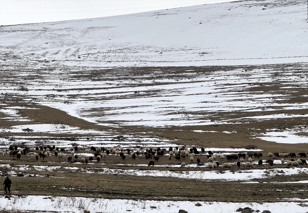 Kars ve Ardahan'da kar