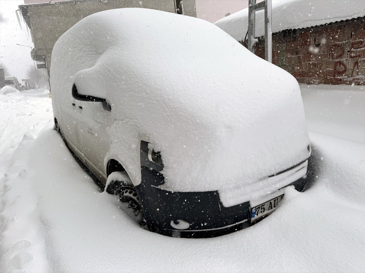 Erzurum ile Ardahan'da kar yağışı ve soğuk hava etkili oluyor