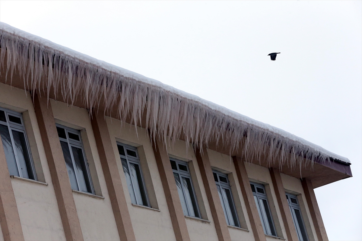 Erzurum, Kars, Ardahan, Ağrı ve Tunceli'de kar yağışı ve soğuk hava etkili oluyor