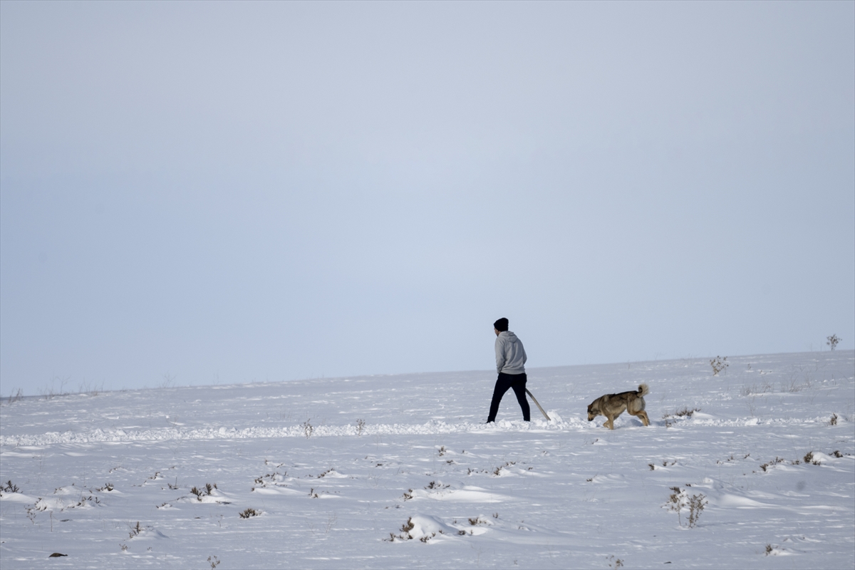 Kars’ta karla kaplı köylerdeki besicilerin zorlu kış mesaisi