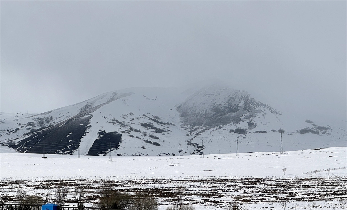 Erzurum, Ardahan ve Kars'ta kar yağışı ve soğuk hava etkili oluyor