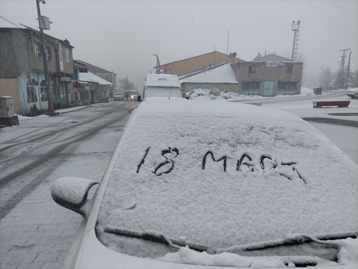 Bingöl Karlıova'da kar etkili oldu