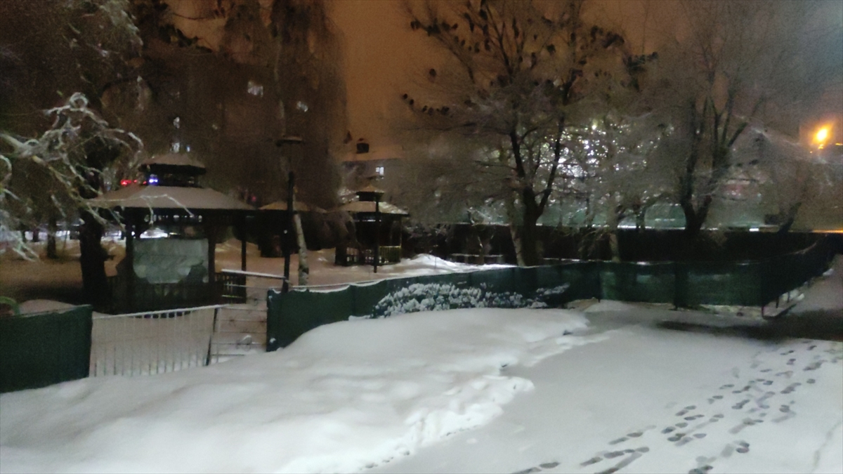 Bingöl Karlıova'da kar yağışı etkili oldu