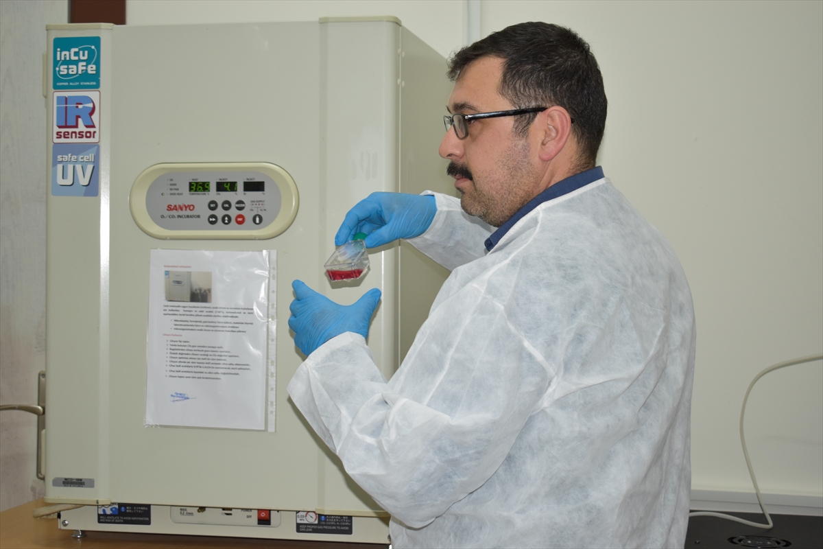 Bitlis'te “Hücre Kültürü Laboratuvarı” kuruldu
