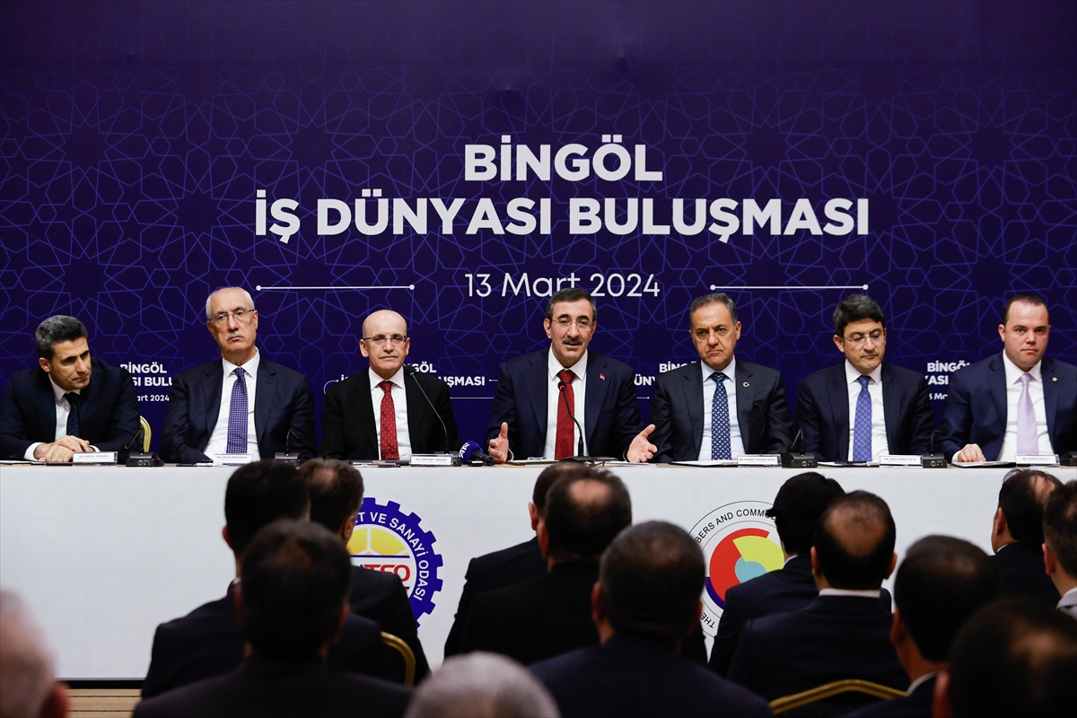 Cumhurbaşkanı Yardımcısı Yılmaz, Bingöl'de iş dünyası temsilcileriyle bir araya geldi: