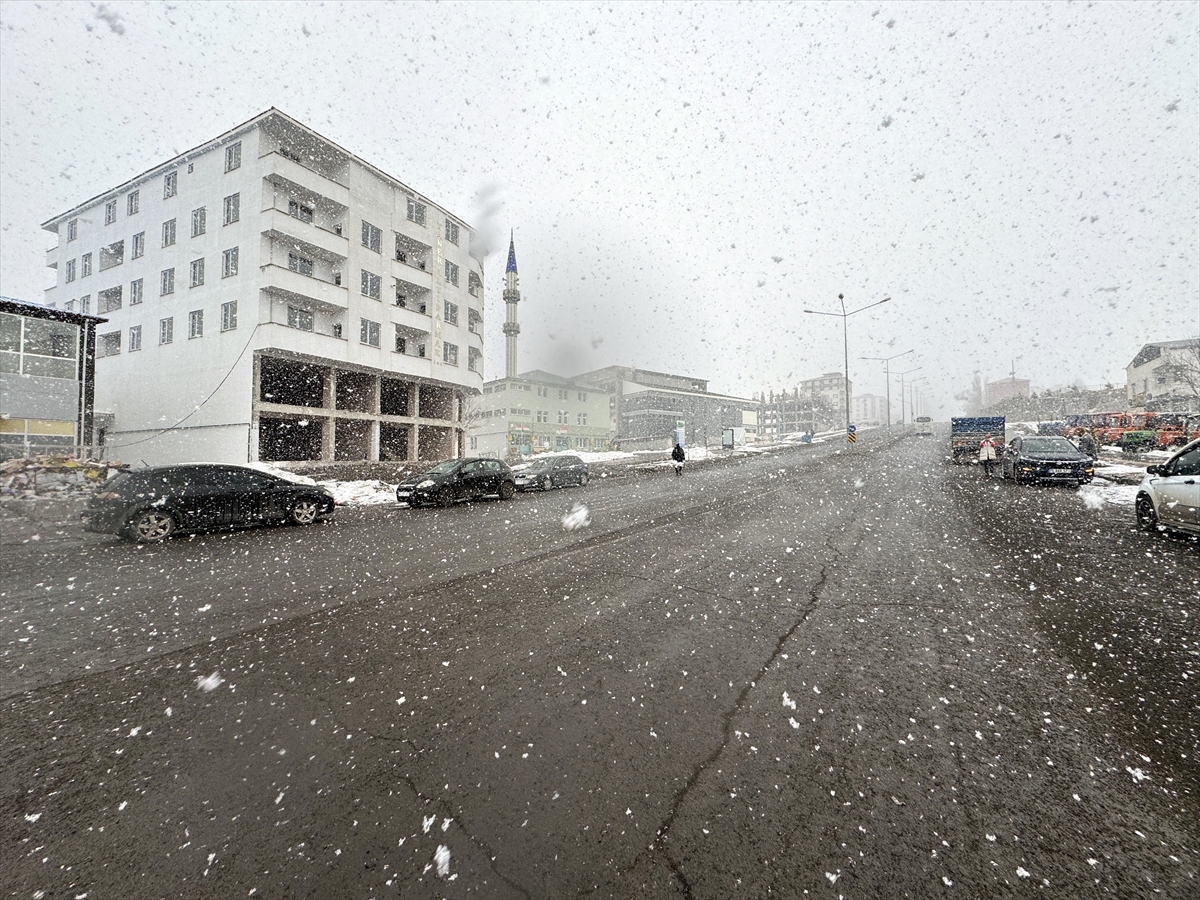 Ardahan'da lapa lapa yağan kar etkili oldu