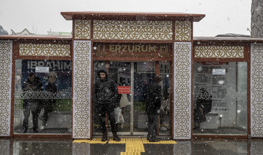 ERZURUM/ARDAHAN (AA) – Erzurum