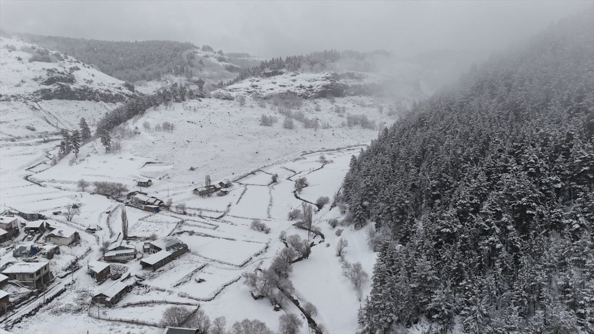 Karla kaplanan Ardahan, Erzurum ve Kars'ta soğuk hava hakim