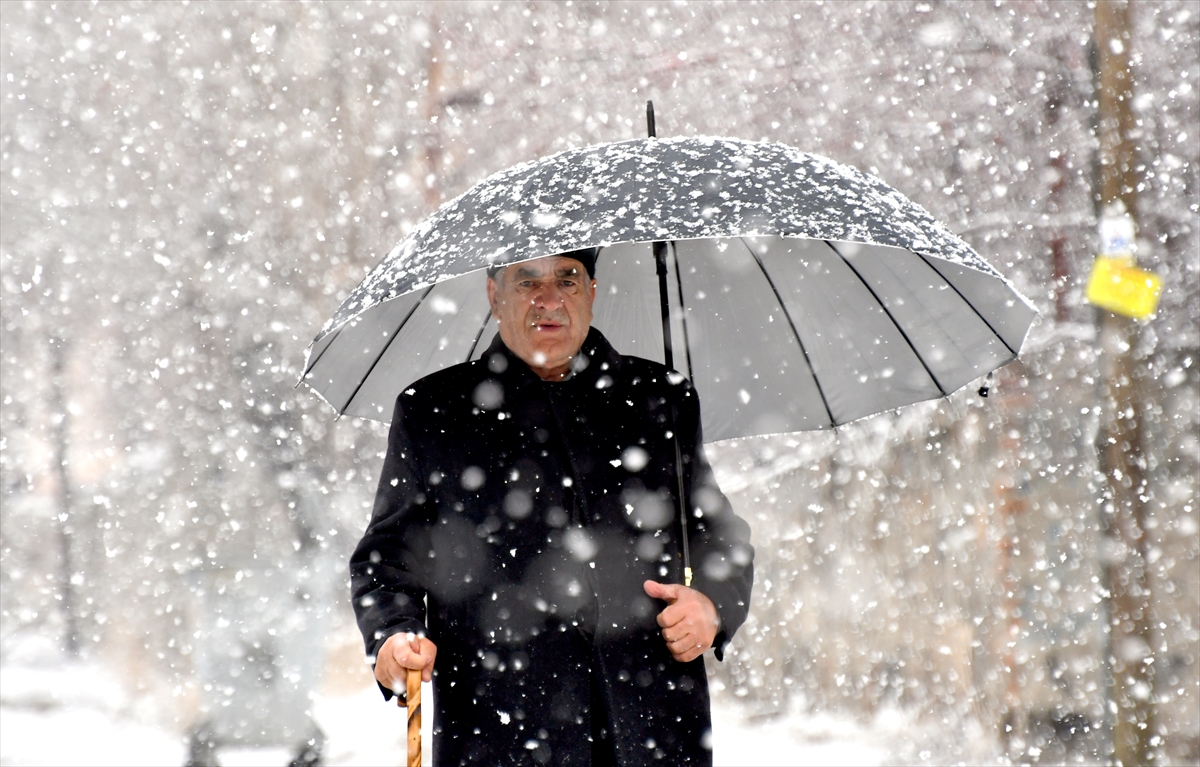 Kars ve Tunceli'de kar etkili oldu
