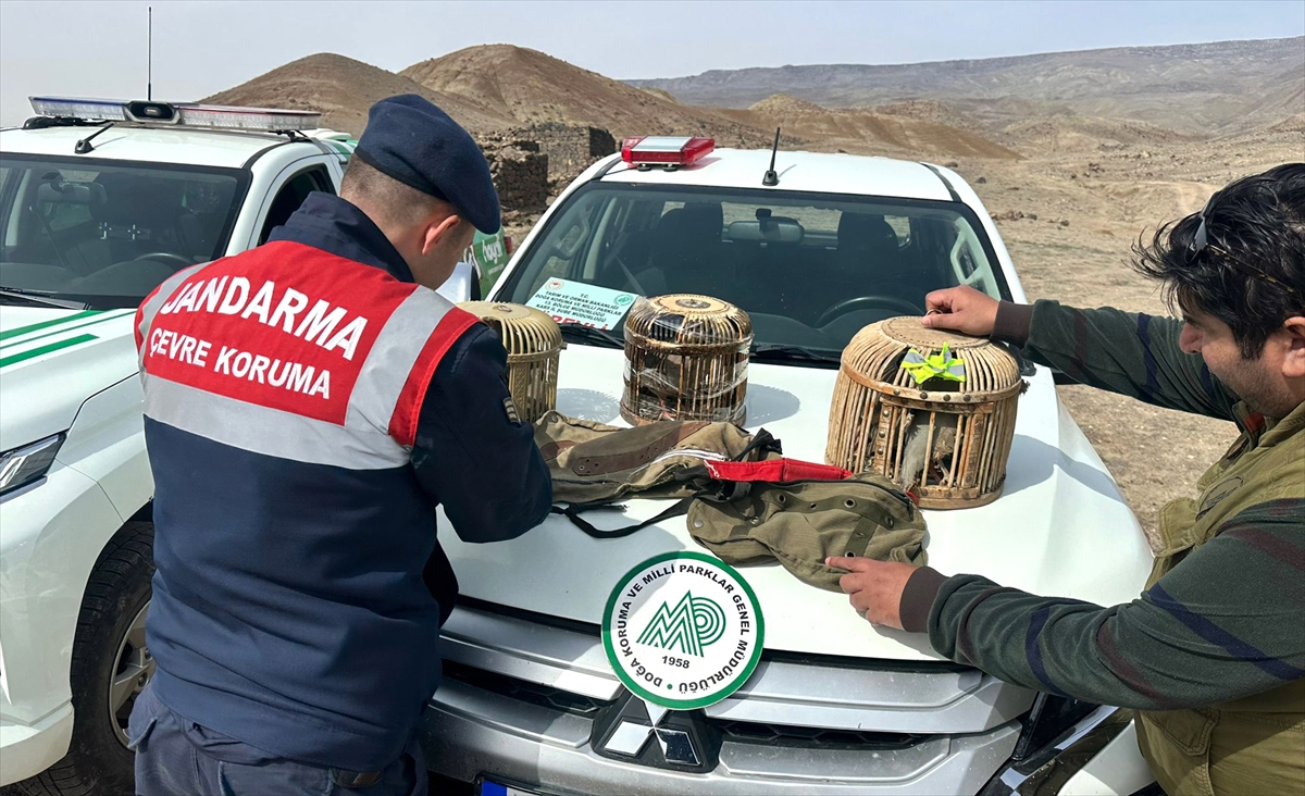 Kars'ta keklik avlayan 3 kişiye 102 bin 609 lira ceza verildi
