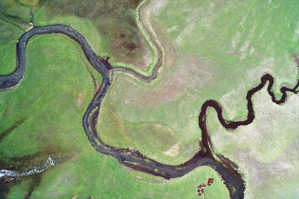 Ağrı'da kar sularıyla beslenen menderesler dronla görüntülendi