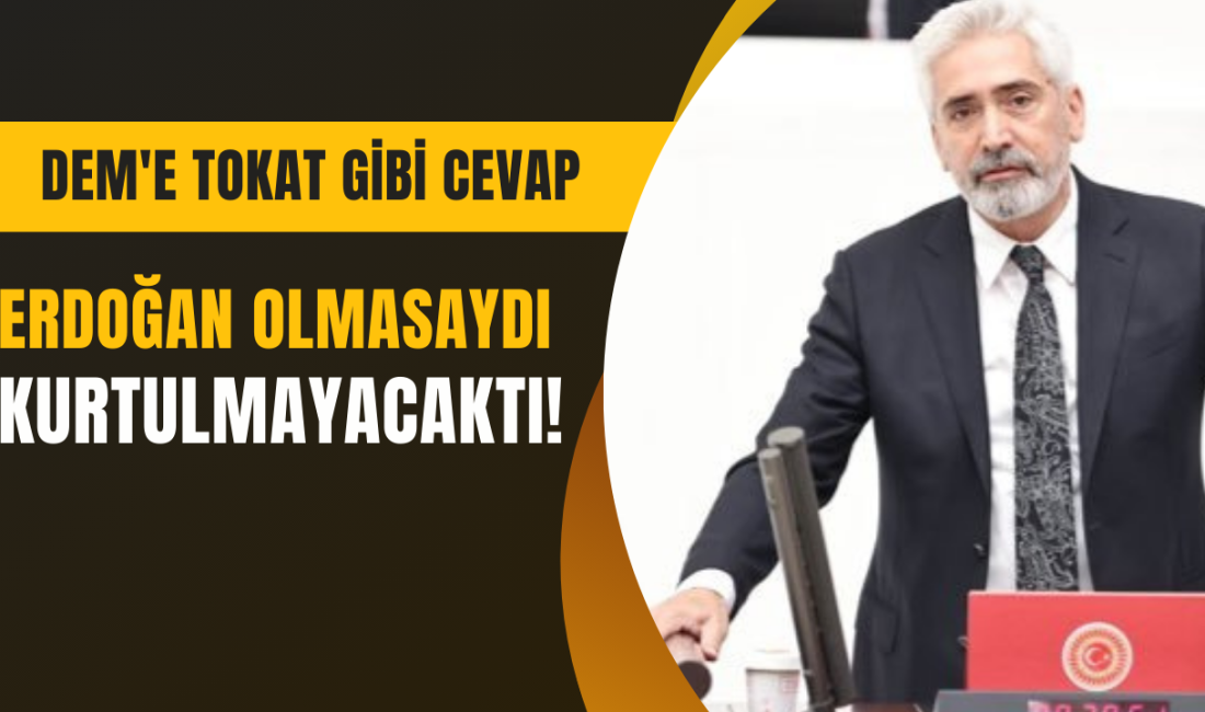 AK Parti Diyarbakır Milletvekili